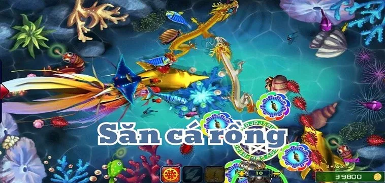 Cách Chơi Bắn Cá Rồng Tại Vibet88 Săn Hũ Jackpot Khủng