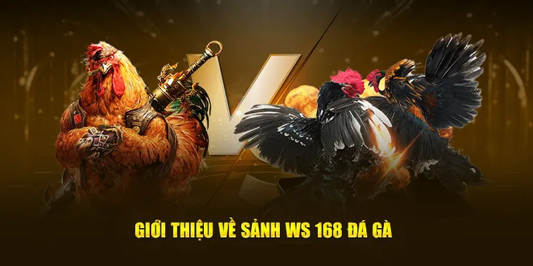 Cách Chơi Đá Gà WS168 Tại Vibet88 Giúp Bạn Làm Giàu
